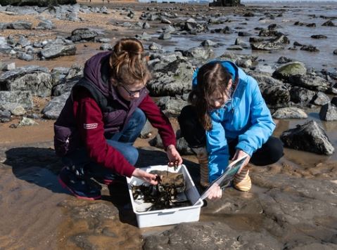fossil hunting1